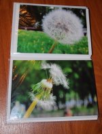 DSC_0197.JPG