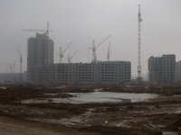 наши соседи.JPG