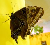 DSCN7816.jpg