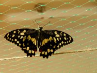 DSCN7825.jpg