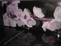 DSC04848.JPG