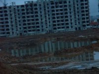 подойти не так просто..JPG