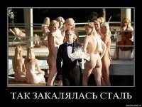 как закалялась сталь.jpeg