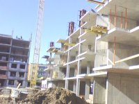 picture_00095.jpg