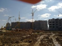 11042012260.jpg