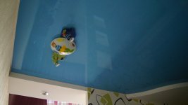 DSC01142.jpg