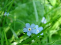 DSC00931.JPG