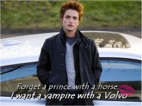 19203_twilight_pic.jpg
