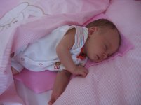 Изображение 221.jpg