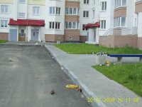 Безхозяйственность.JPG