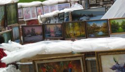 IMG_1395.jpg