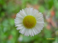 S1054277.jpg