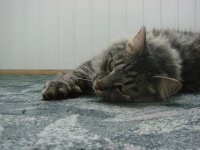 DSC02082.JPG