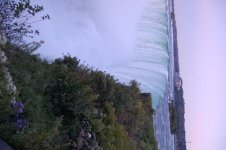 DSC_0207.jpg