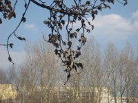 IMG_2048-1.jpg