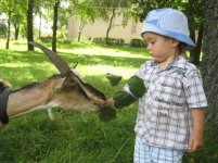 Изображение 085.jpg