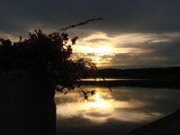DSC09054.JPG