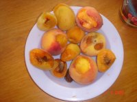 DSC04589.JPG