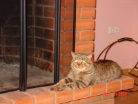 DSC04973.JPG