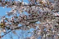 IMG_4141.JPG