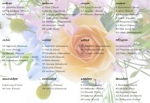 семейство_мамочки.jpg