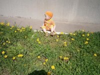 P4281084 уменьш.JPG