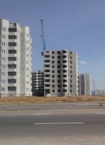 IMG_20120429_152023.jpg