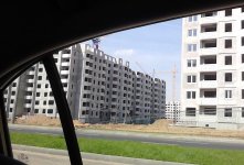 IMG_20120429_152352.jpg