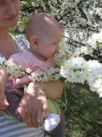 IMG_1330.jpg