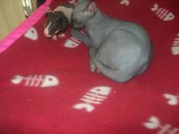 DSCN4526.jpg