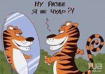 чудо зеркало.jpg