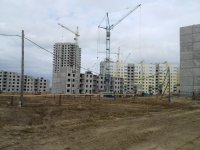 PIC-0016.jpg