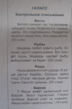 Итоговое контрольное списывание.jpg
