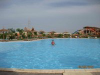 IMG_3807.jpg
