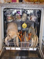63f3ac62bd.jpg