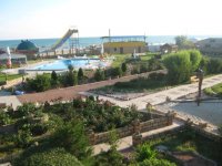 IMG_4283.jpg