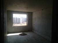 11052012301.jpg