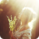 image_12904120016351945074.png