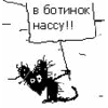 av512.gif
