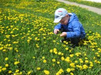 Изображение 6.jpg