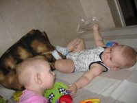 IMG_1886.jpg