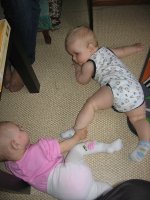 IMG_1895.jpg