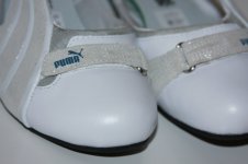Puma 3.JPG