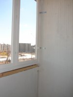DSC03436.jpg