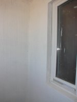 DSC03435.jpg