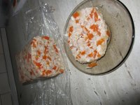 IMG_0145.jpg