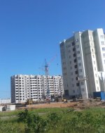 IMG_20120525_175300.jpg