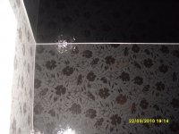 S1054404.JPG