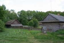 IMG_4229.JPG