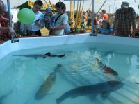 Изображение 196_новый размер.jpg